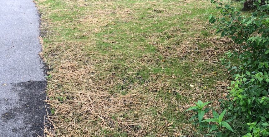 117389263_988065241632323_1109099030263153133_o