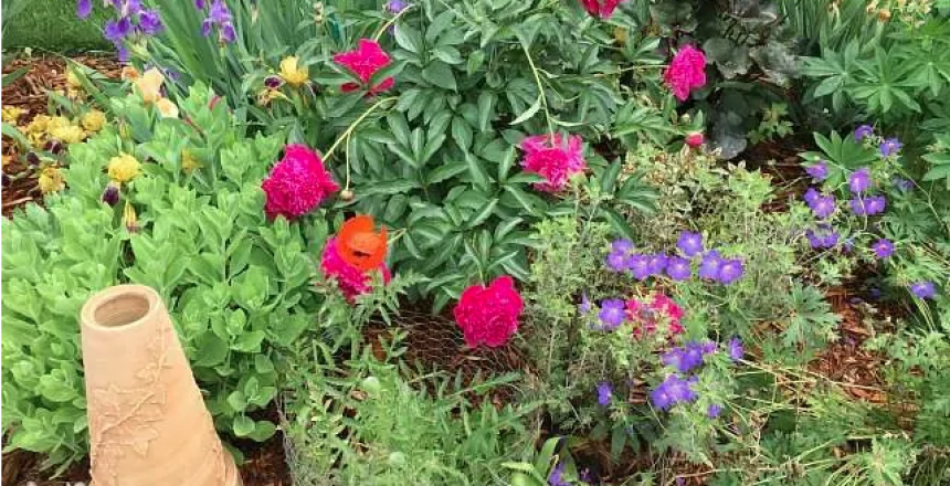 Screen Shot 2020-07-08 at 10.15.22 AM