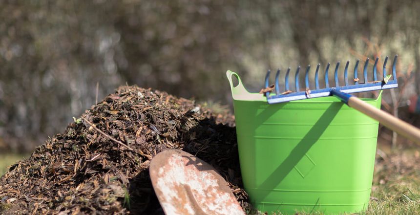 eco-smart_landscaping_spring_clean_up